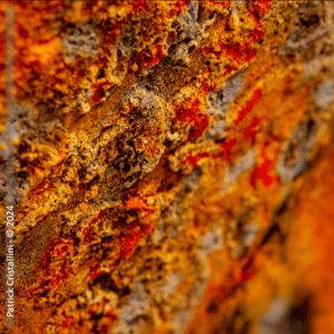 Orange Peel (Détail) - Tableau à vendre - Peinture contemporaine abstraite - Patrick CRISTALLINI - Artiste - Peintre - Lyon - France