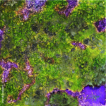 abstraction végétale violet vert contraste couleurs vives